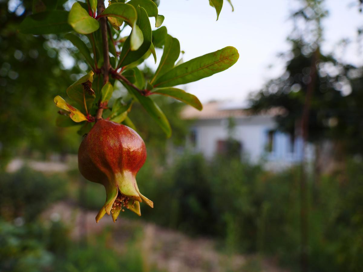 Camping Fiori Di Noto Eksteriør billede