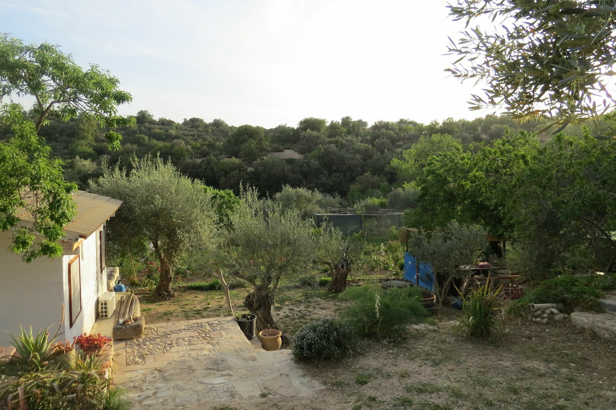 Camping Fiori Di Noto Eksteriør billede