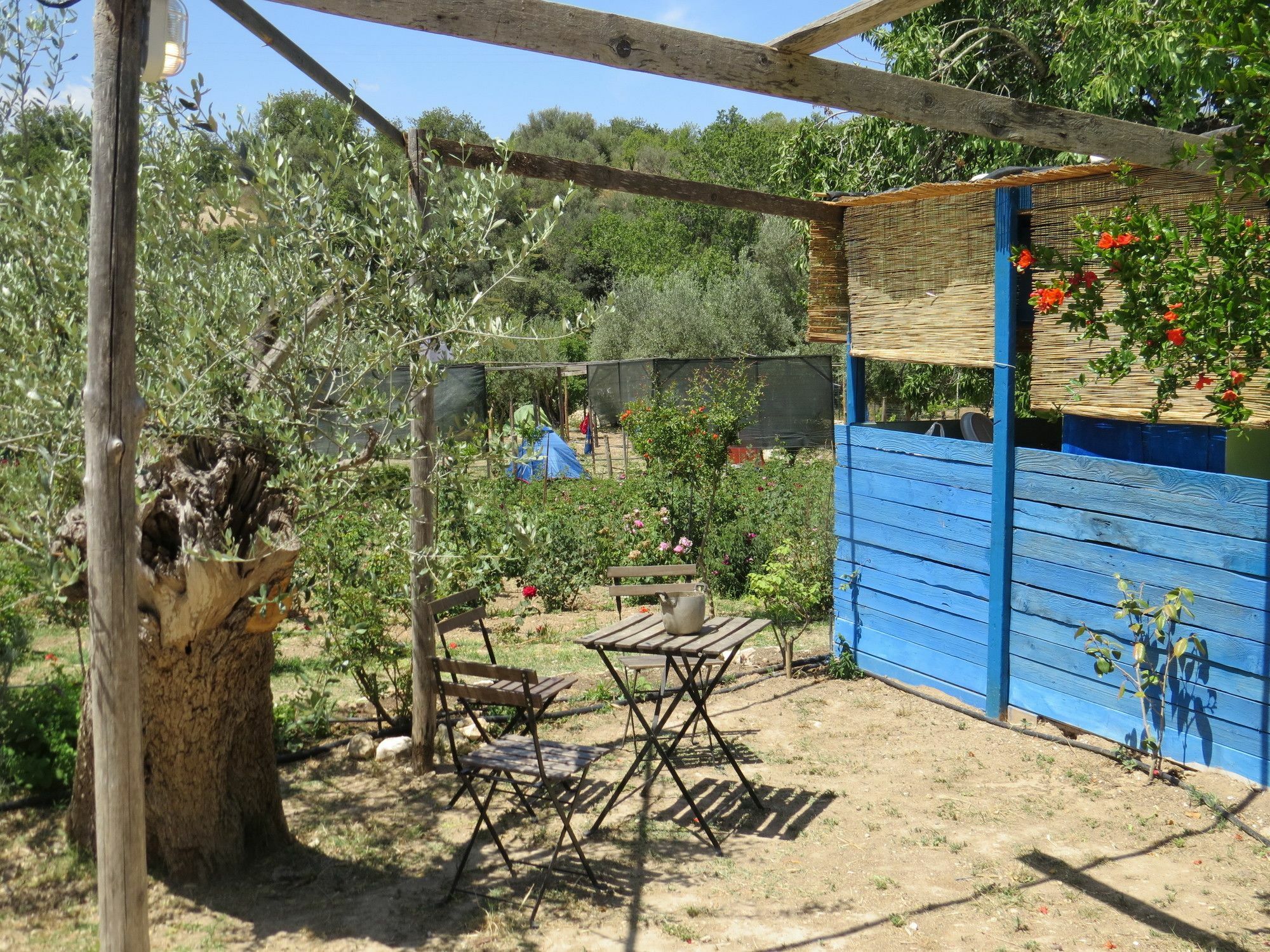 Camping Fiori Di Noto Eksteriør billede